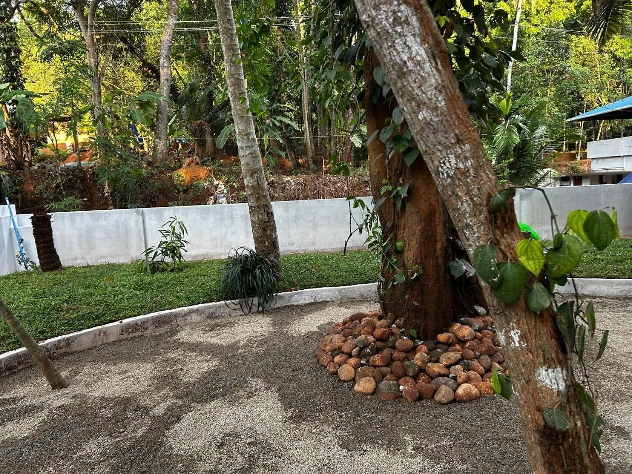 Niharika Homestay Neyyattinkara 0*,
