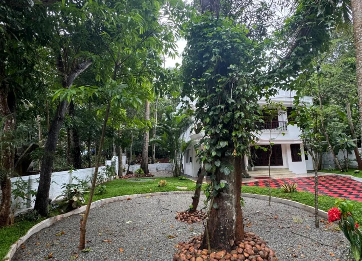 Niharika Homestay Neyyattinkara
