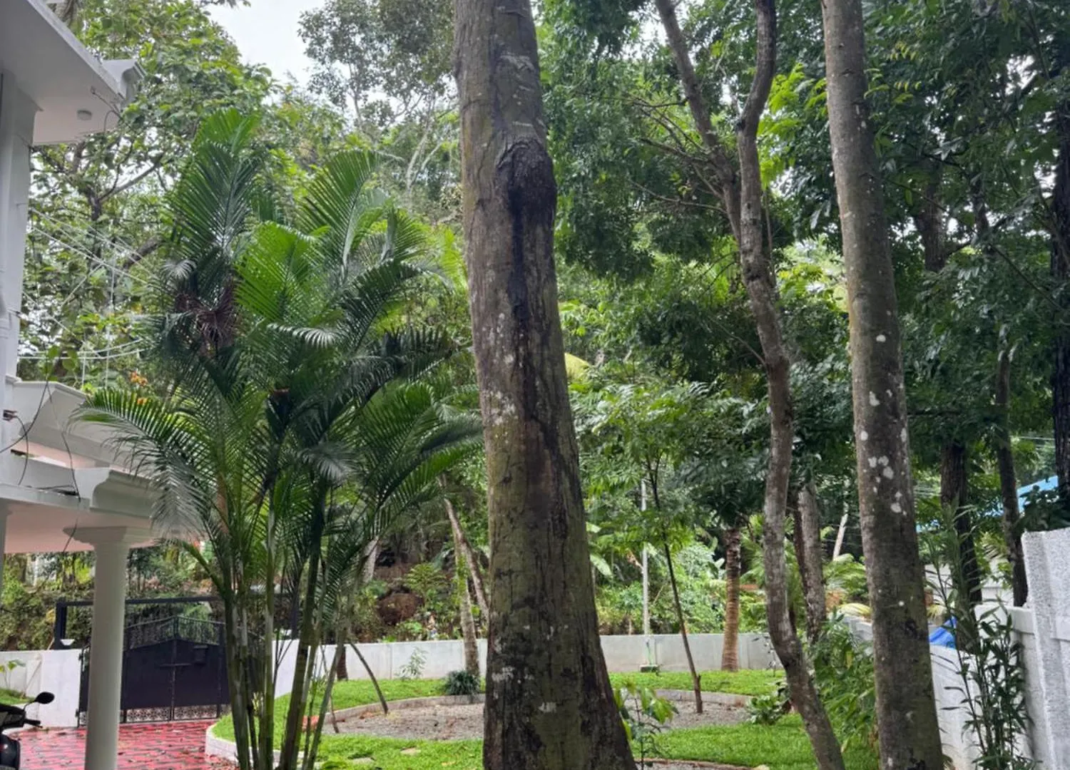 Niharika Homestay Neyyattinkara