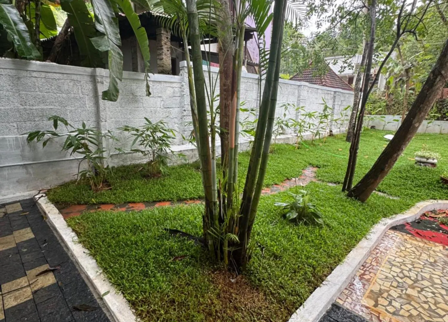 Niharika Homestay Neyyattinkara
