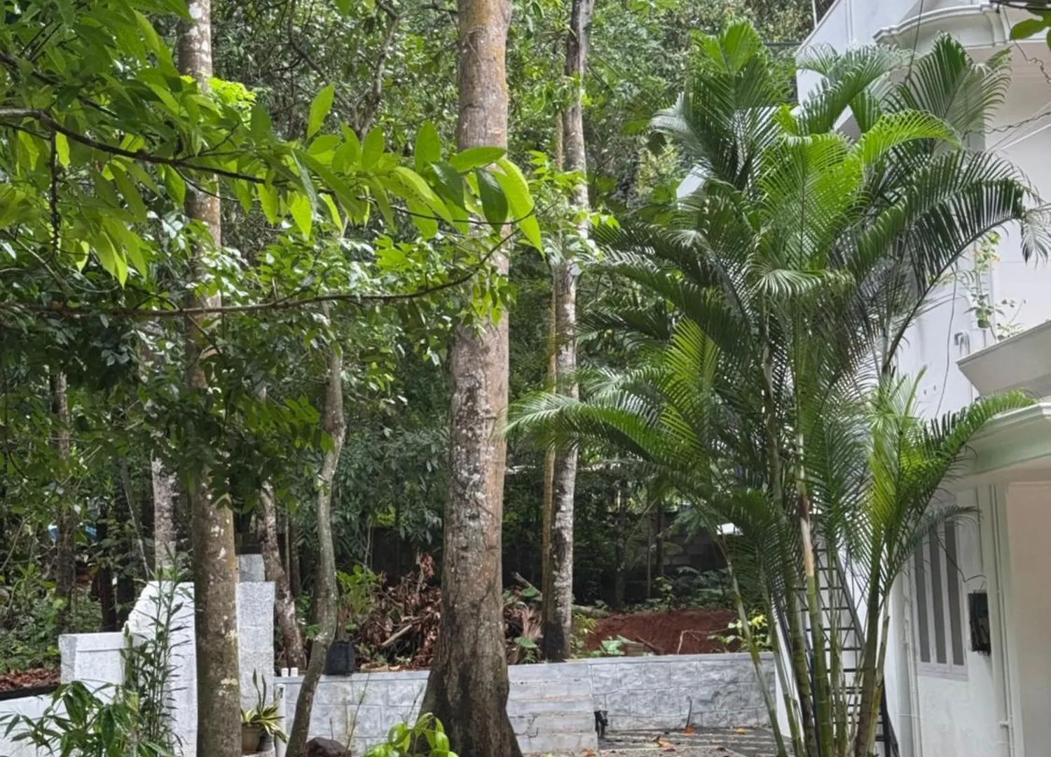 Niharika Homestay Neyyattinkara