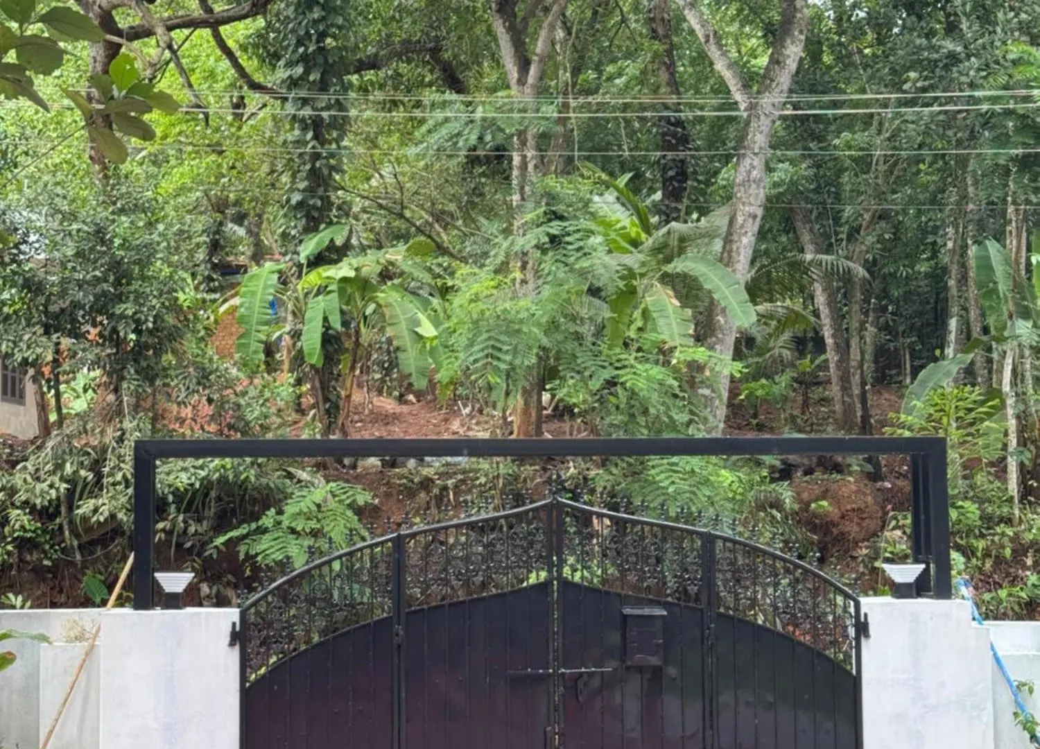 Niharika Homestay Neyyattinkara 인도