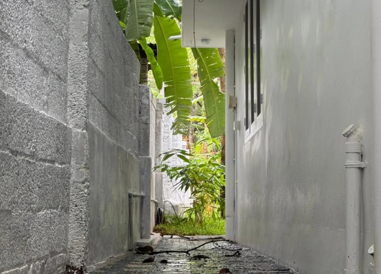 Niharika Homestay Neyyattinkara